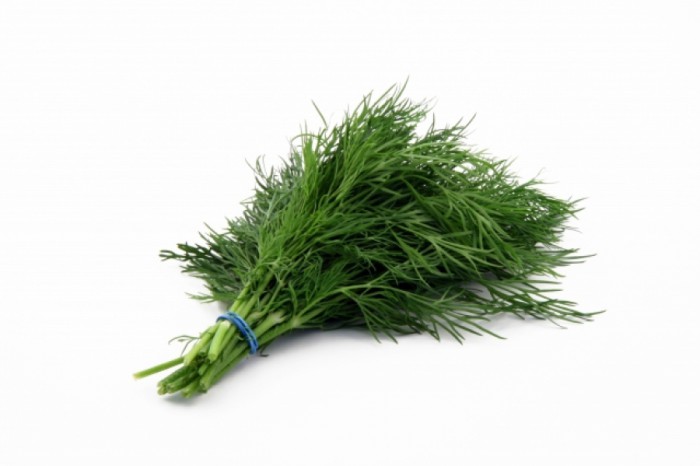 Dill