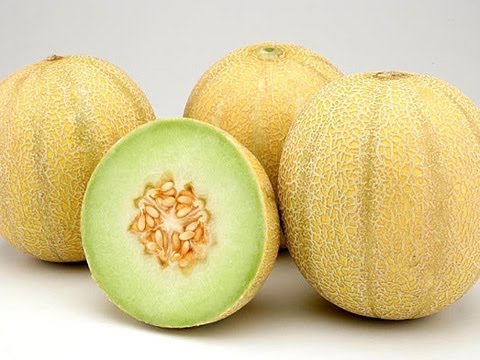 Melon