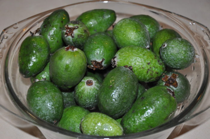 Feijoa syltetøy uten koking