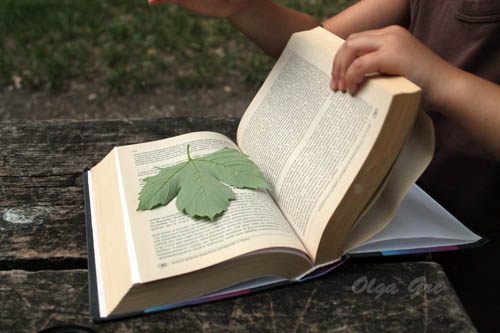 herbarium