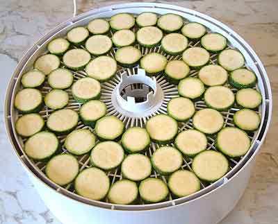 Hvordan tørke zucchini