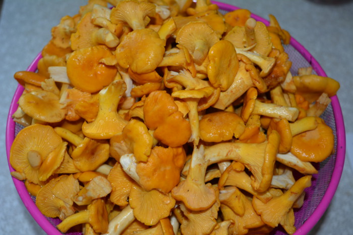 Caviar cu ciuperci Chanterelle