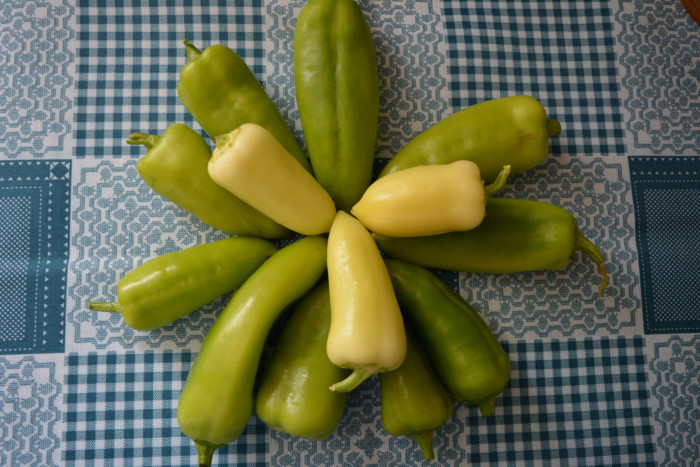 Frosset bakt paprika til vinteren