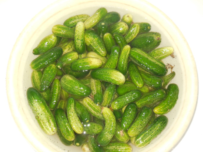 Pickles i krukker som fat