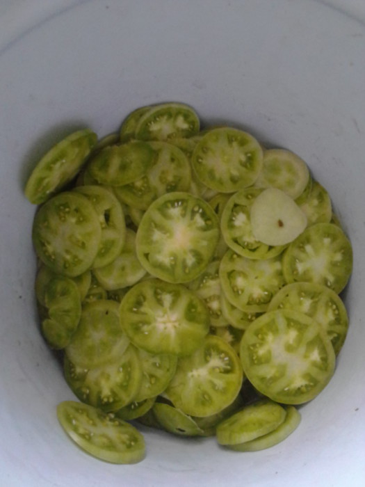 Vintersalat med aubergine og grønne tomater