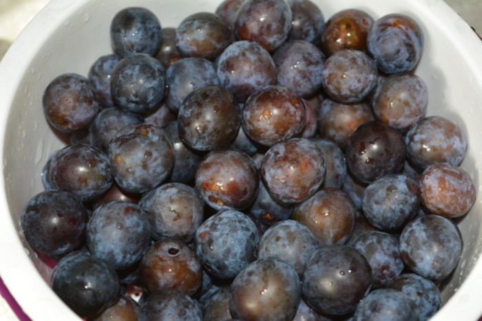 Sloe syltetøy