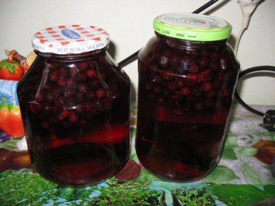 Compot de aronia